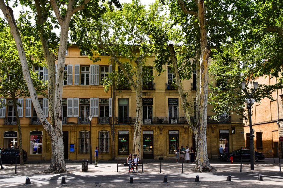 Rue arborée d'Aix-en-Provence